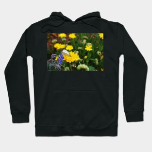 Butterfly Hoodie